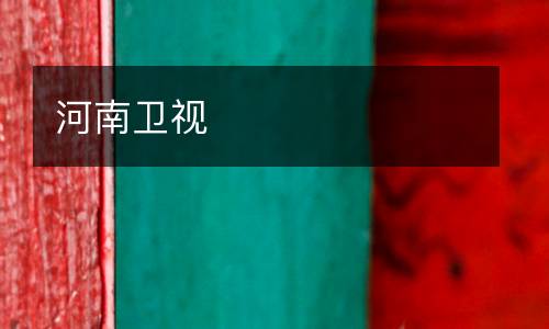 河南卫视