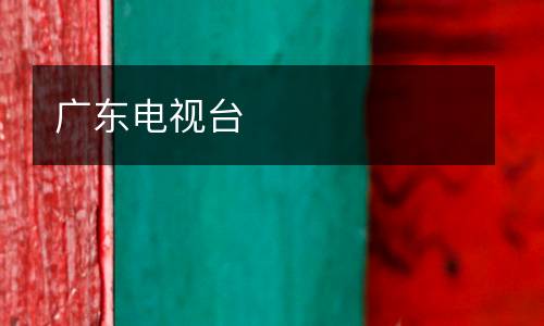 广东电视台